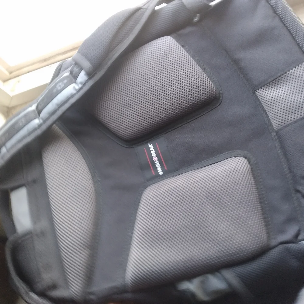 Black and Gray Men's Swiss Guard Backpack 19